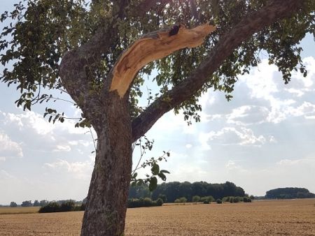 Einsatzdokumentation Feuerwehr Lippetal